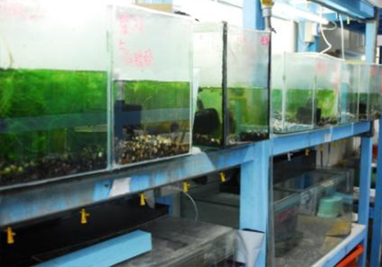 甲殼類暨水族生態實驗室-照片
