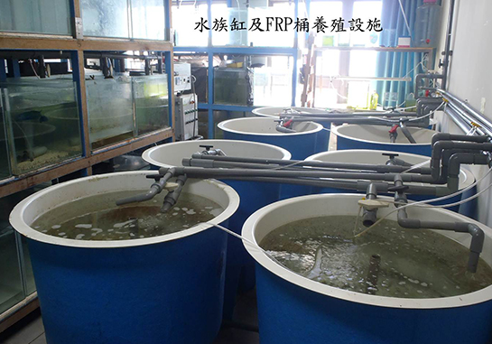 水族繁殖實驗室-照片-水族缸及FRP桶養殖設施